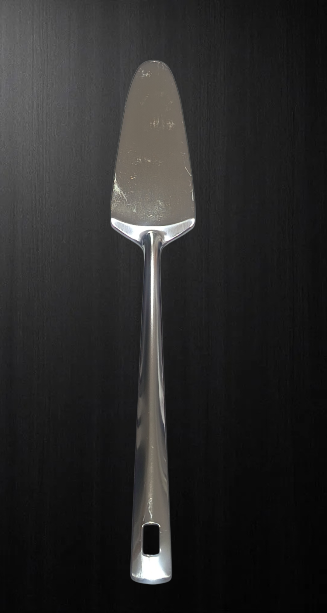 Spatula inox